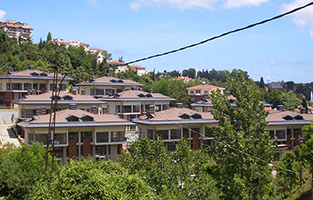 braas çatı