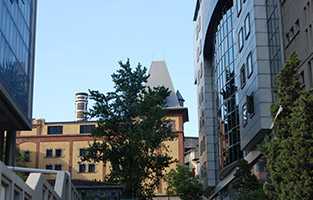 vmzinc çinko titanyum
